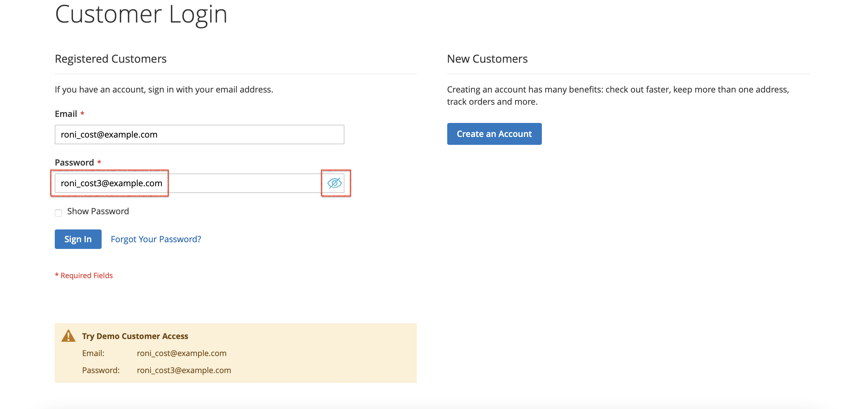 Password Hide On Customer Login